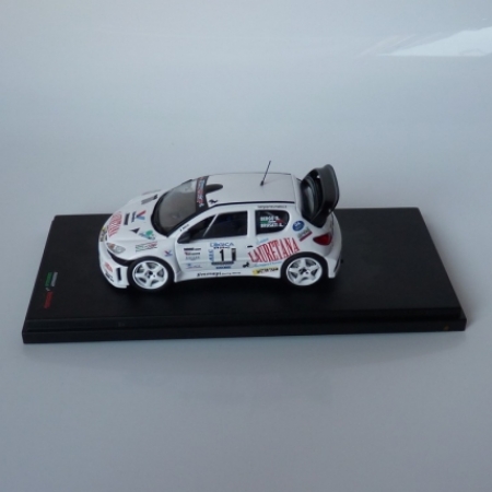 PEUGEOT 206 WRC - BERGO - RONDE DEL GOMITOLO 2014