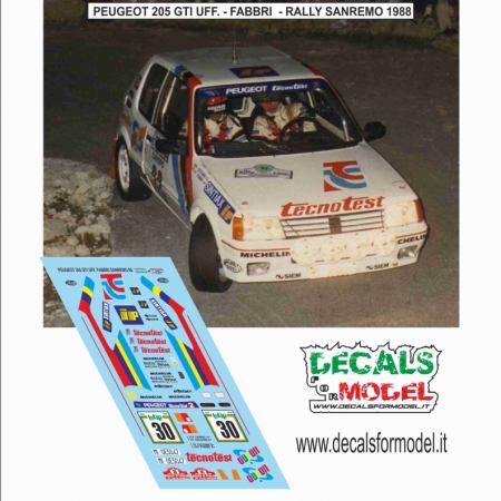 DECAL PEUGEOT 205 GTI - FABBRI - RALLY SANREMO 1988