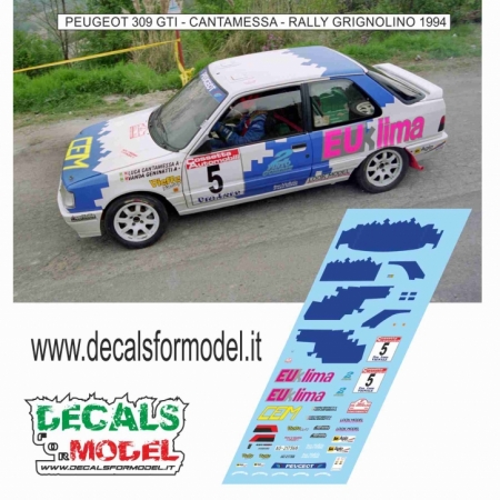 DECAL PEUGEOT 309 GTI - CANTAMESSA - RALLY GRIGNOLINO 1994